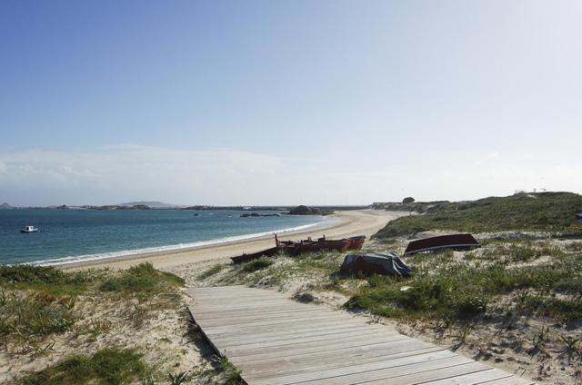 Carola L, "Apartamento De Lujo A 100M Playa Catia" Рибейра Экстерьер фото